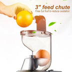 Professional Cold Press Masticating Slow Juicer (High Nutrient & Yield Extraction)