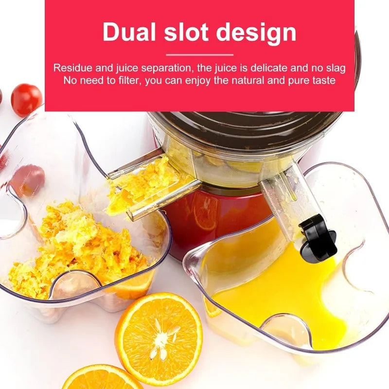 Professional Cold Press Masticating Slow Juicer (High Nutrient & Yield Extraction)