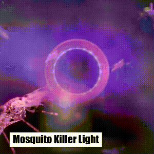 Silent UV LED Mosquito Trap & Killer (Non-Toxic & Chemical-Free)