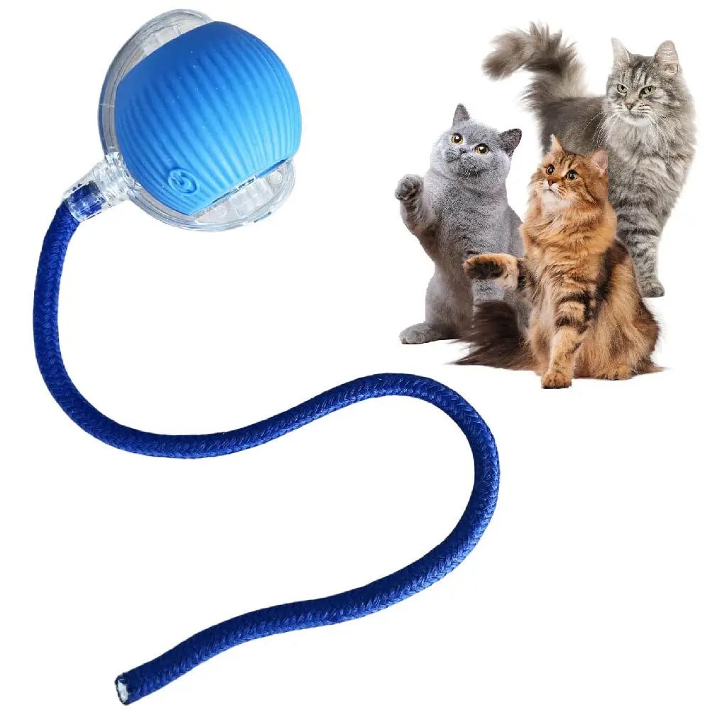Automatic Interactive Smart Ball Cat Toy (Instinct Stimulation & Hands-Free Fun)